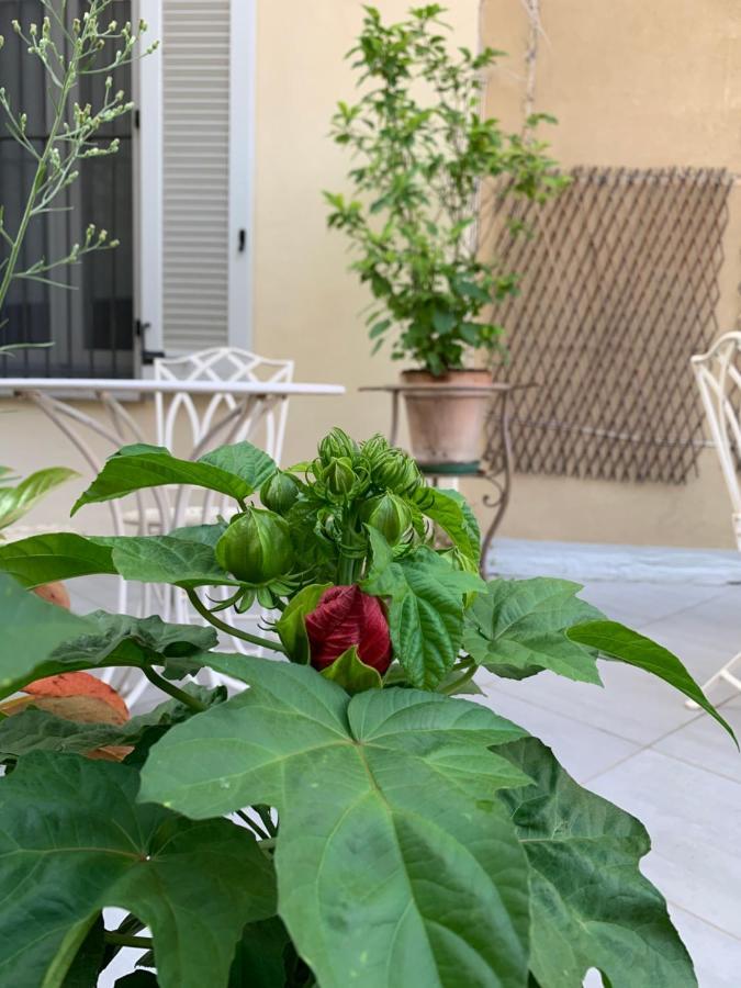 La Terrazza Vercelli Bed & Charme Eksteriør bilde